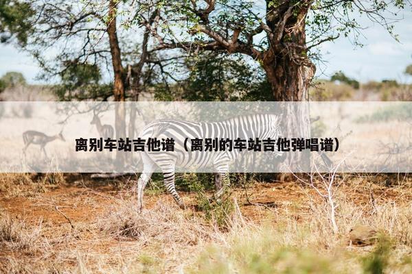 离别车站吉他谱（离别的车站吉他弹唱谱）