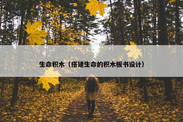 生命积木（搭建生命的积木板书设计）