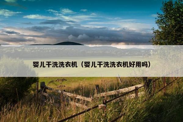 婴儿干洗洗衣机（婴儿干洗洗衣机好用吗）