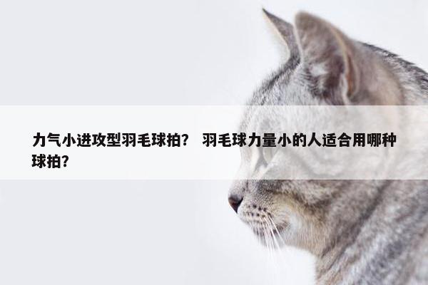 力气小进攻型羽毛球拍？ 羽毛球力量小的人适合用哪种球拍？