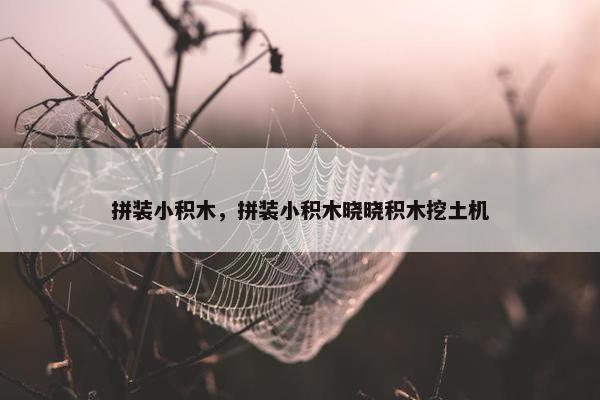 拼装小积木，拼装小积木晓晓积木挖土机