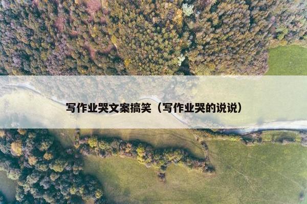 写作业哭文案搞笑（写作业哭的说说）