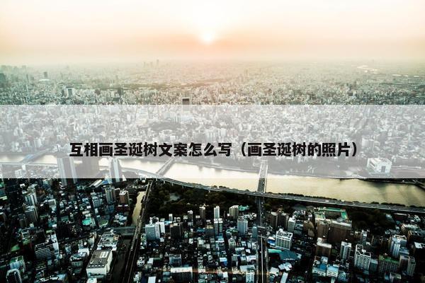互相画圣诞树文案怎么写（画圣诞树的照片）