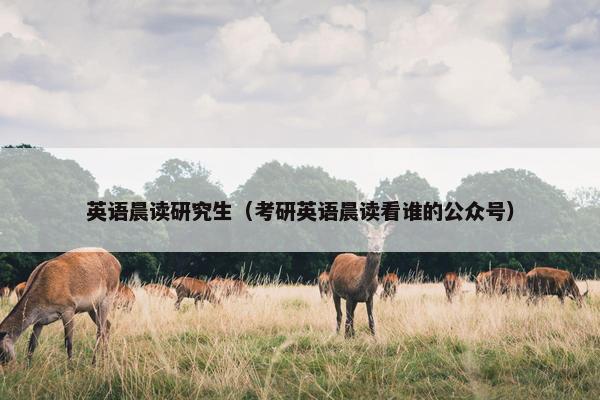 英语晨读研究生（考研英语晨读看谁的公众号）
