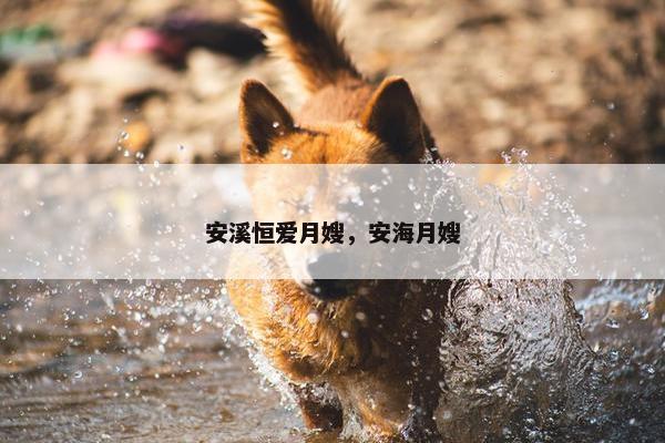 安溪恒爱月嫂，安海月嫂