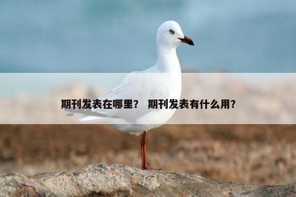 期刊发表在哪里？ 期刊发表有什么用？