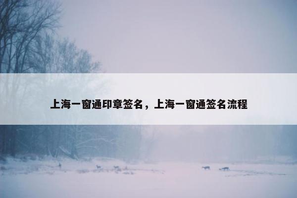 上海一窗通印章签名，上海一窗通签名流程