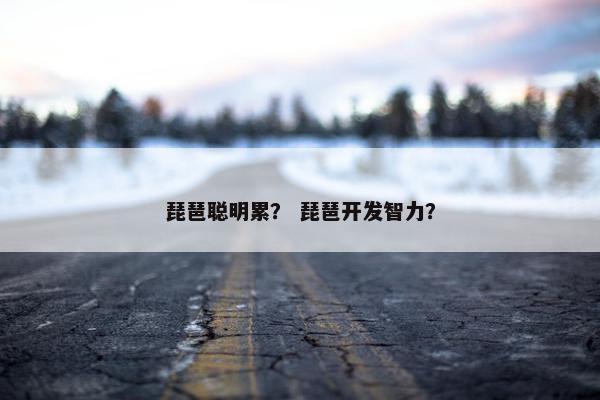 琵琶聪明累？ 琵琶开发智力？