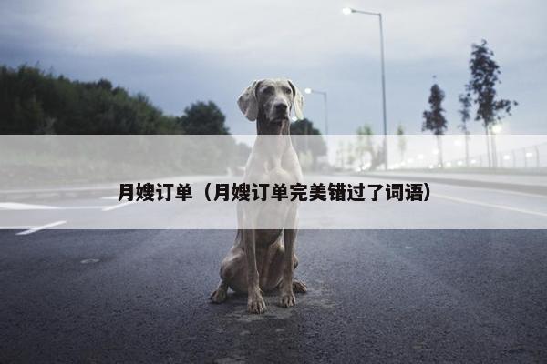月嫂订单（月嫂订单完美错过了词语）