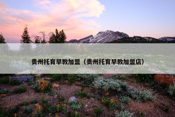 贵州托育早教加盟（贵州托育早教加盟店）