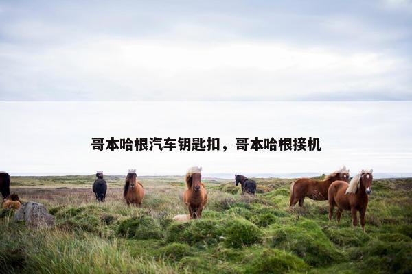 哥本哈根汽车钥匙扣，哥本哈根接机