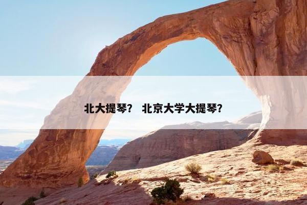 北大提琴？ 北京大学大提琴？