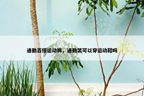 通勤百搭运动裤，通勤装可以穿运动鞋吗