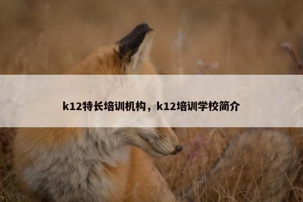 k12特长培训机构，k12培训学校简介