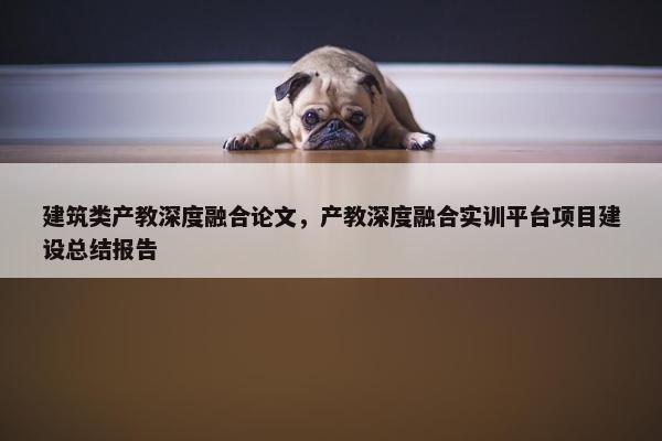 建筑类产教深度融合论文，产教深度融合实训平台项目建设总结报告