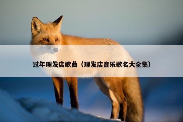过年理发店歌曲（理发店音乐歌名大全集）