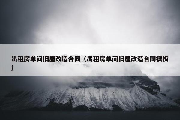 出租房单间旧屋改造合同（出租房单间旧屋改造合同模板）
