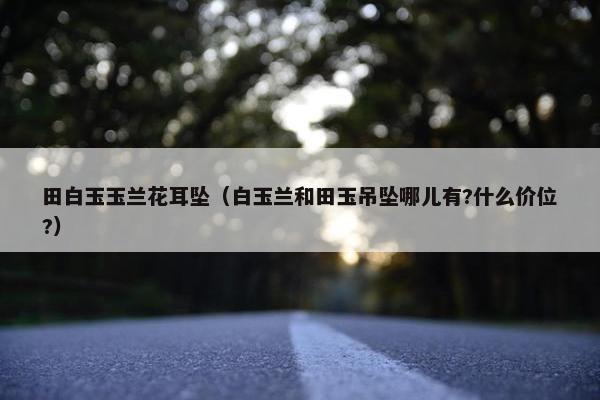田白玉玉兰花耳坠（白玉兰和田玉吊坠哪儿有?什么价位?）