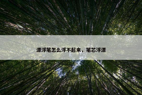 漂浮笔怎么浮不起来，笔芯浮漂