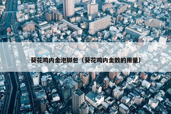 葵花鸡内金泡脚包（葵花鸡内金散的用量）