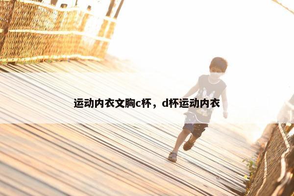 运动内衣文胸c杯，d杯运动内衣