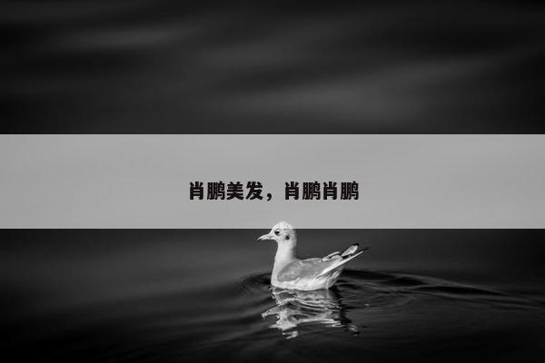 肖鹏美发，肖鹏肖鹏