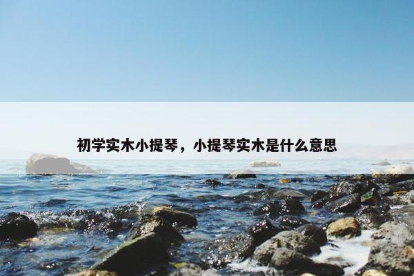 初学实木小提琴，小提琴实木是什么意思