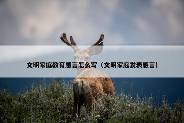 文明家庭教育感言怎么写（文明家庭发表感言）