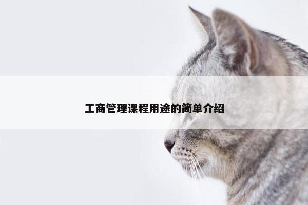 工商管理课程用途的简单介绍