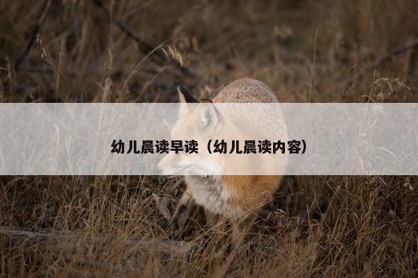 幼儿晨读早读（幼儿晨读内容）