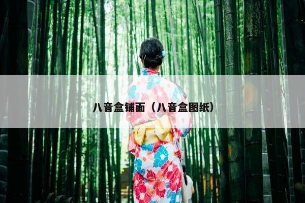 八音盒铺面（八音盒图纸）