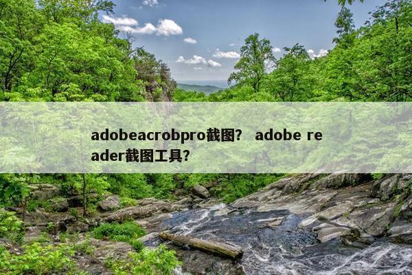 adobeacrobpro截图？ adobe reader截图工具？