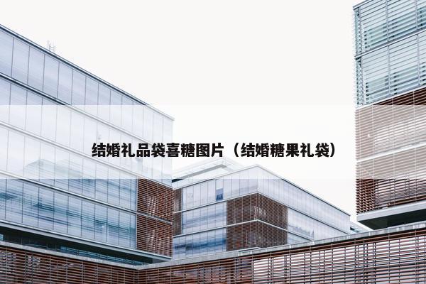 结婚礼品袋喜糖图片（结婚糖果礼袋）