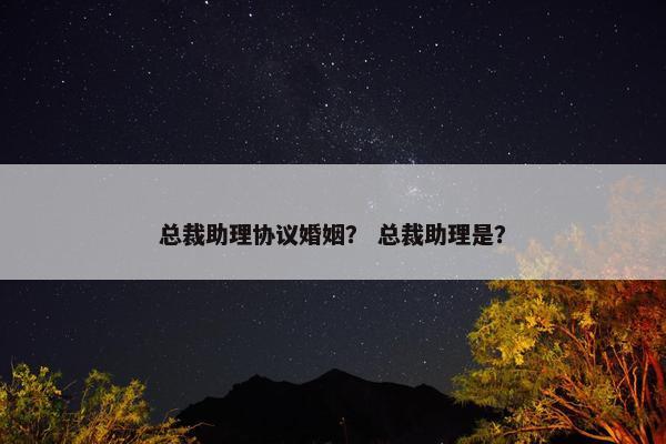总裁助理协议婚姻？ 总裁助理是？