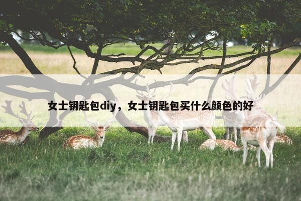 女士钥匙包diy，女士钥匙包买什么颜色的好
