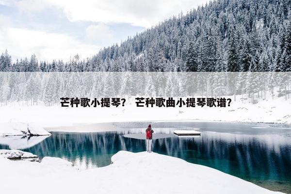 芒种歌小提琴？ 芒种歌曲小提琴歌谱？
