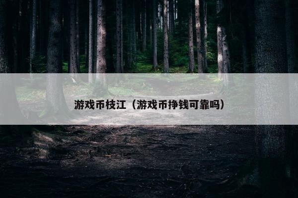 游戏币枝江（游戏币挣钱可靠吗）