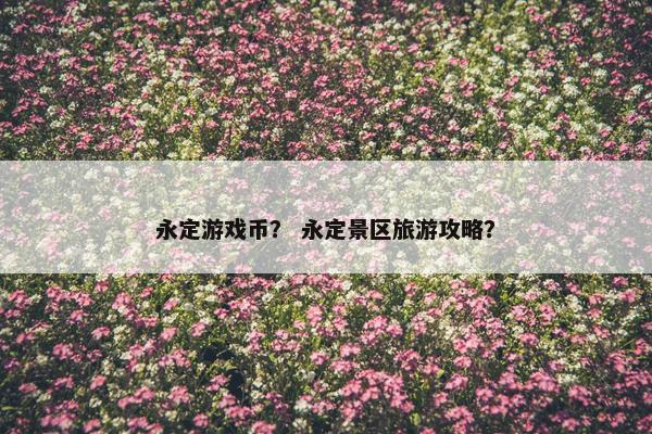 永定游戏币？ 永定景区旅游攻略？