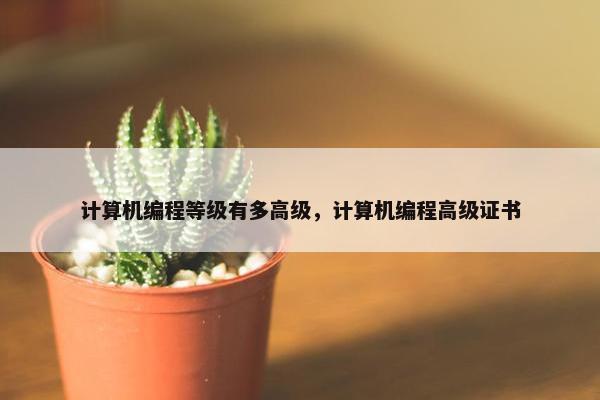 计算机编程等级有多高级，计算机编程高级证书