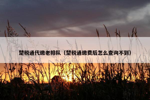 楚税通代缴老排队（楚税通缴费后怎么查询不到）