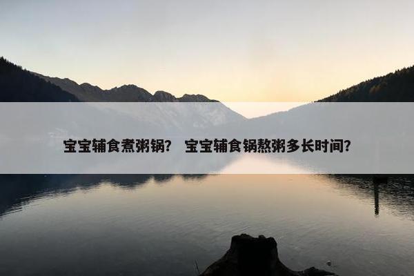 宝宝辅食煮粥锅？ 宝宝辅食锅熬粥多长时间？