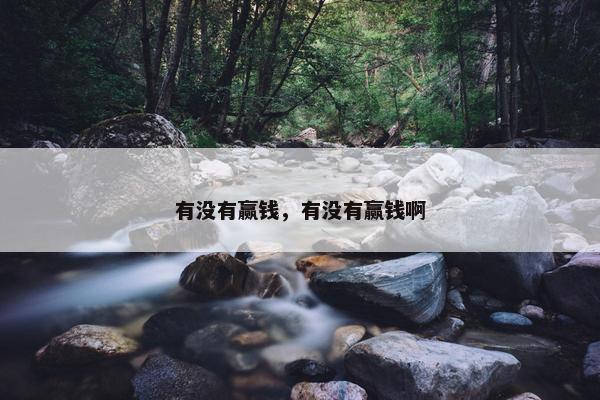 有没有赢钱，有没有赢钱啊