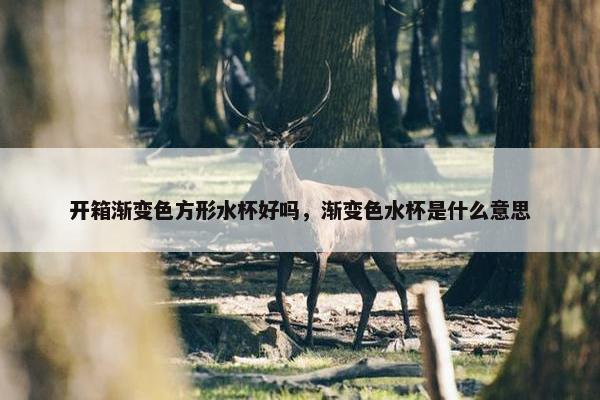 开箱渐变色方形水杯好吗，渐变色水杯是什么意思