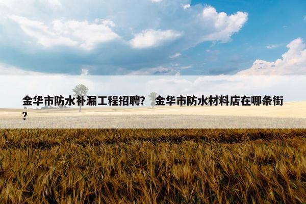 金华市防水补漏工程招聘？ 金华市防水材料店在哪条街？