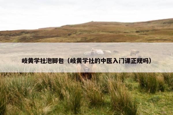 岐黄学社泡脚包（岐黄学社的中医入门课正规吗）