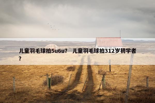 儿童羽毛球拍5u6u？ 儿童羽毛球拍312岁初学者？