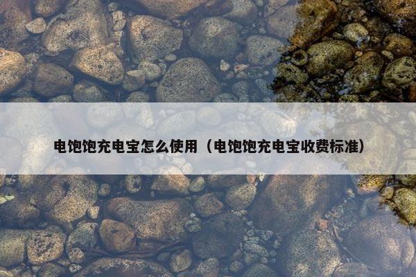 电饱饱充电宝怎么使用（电饱饱充电宝收费标准）