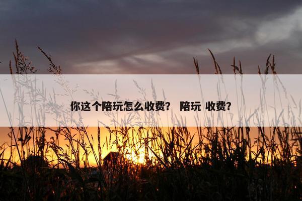 你这个陪玩怎么收费？ 陪玩 收费？