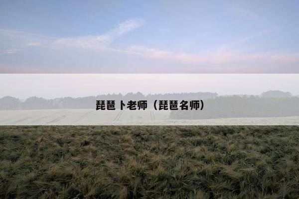 琵琶卜老师（琵琶名师）