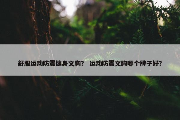 舒服运动防震健身文胸？ 运动防震文胸哪个牌子好？